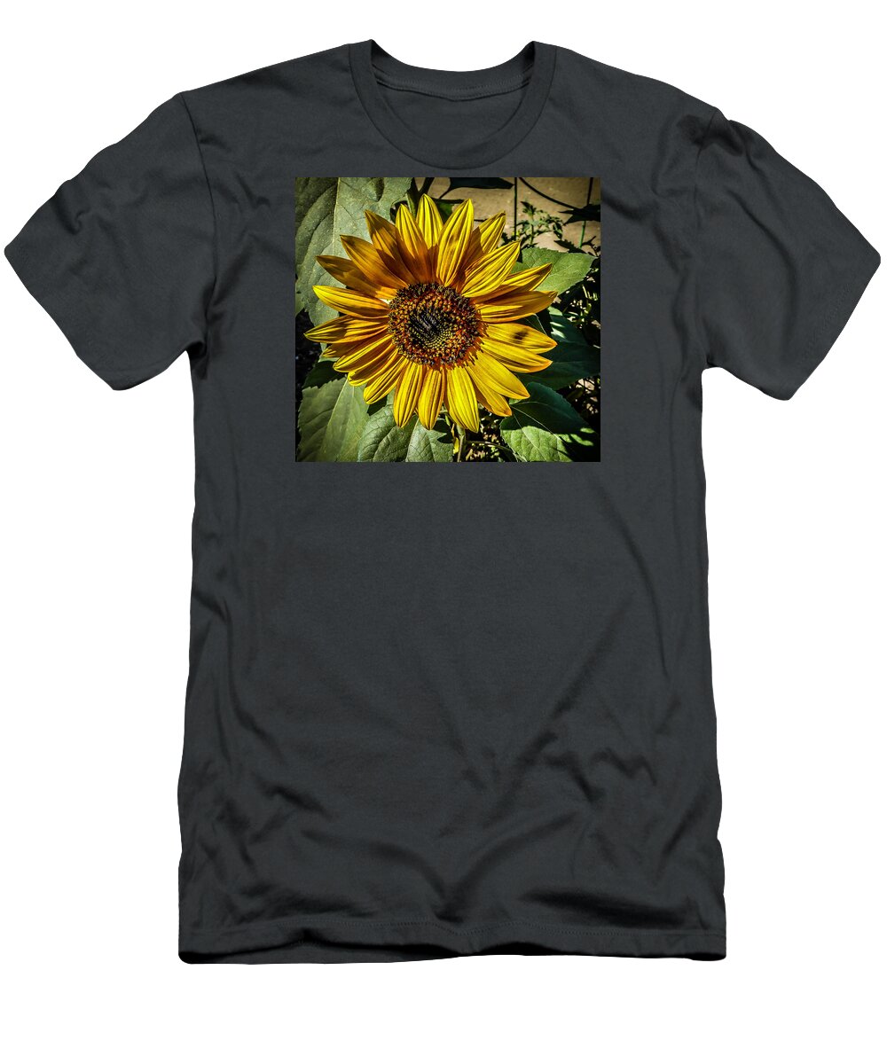 California T-Shirt featuring the photograph Sunflower by Pamela Newcomb