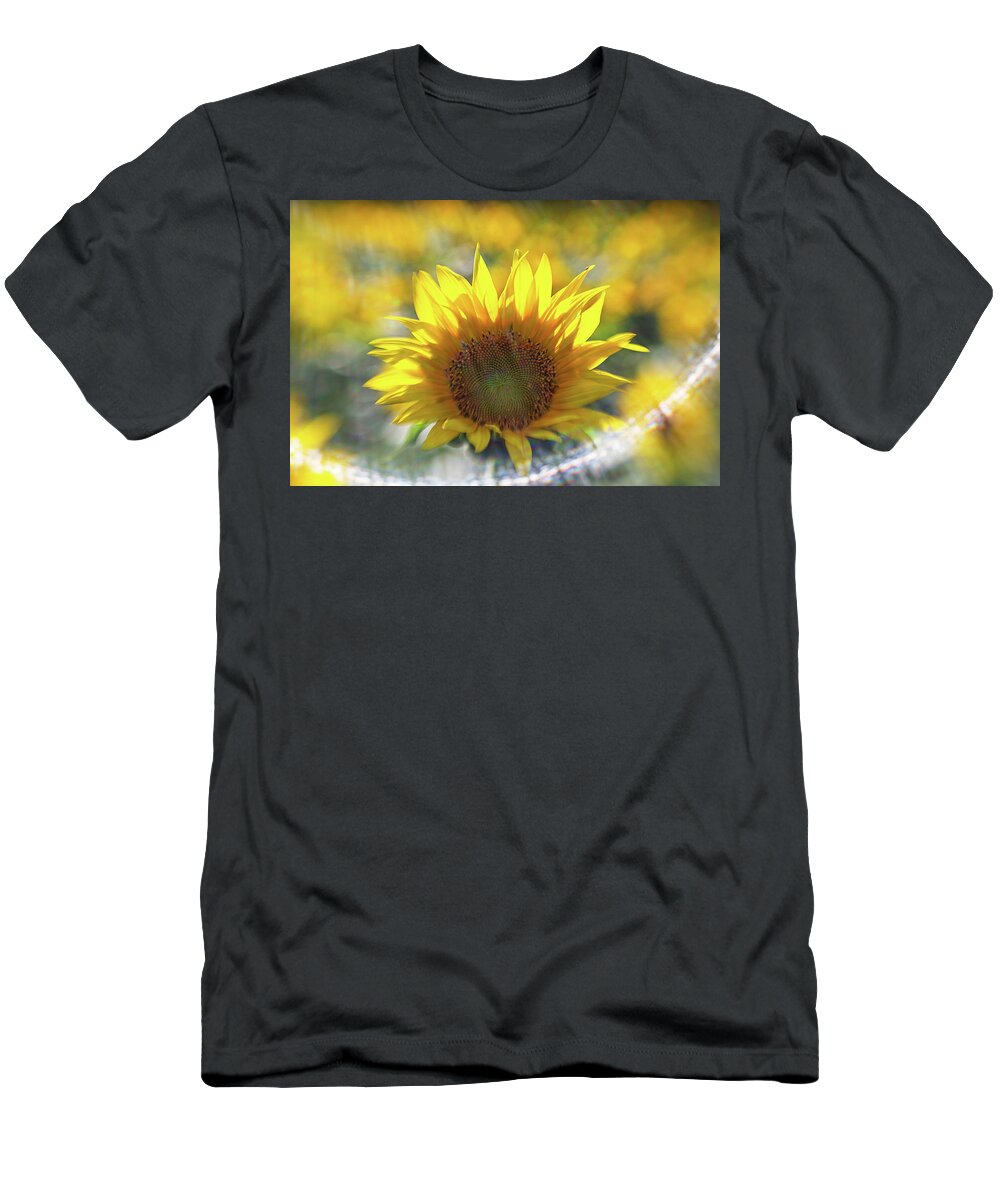Flower T-Shirt featuring the photograph Sunflower with Lens Flare by Natalie Rotman Cote