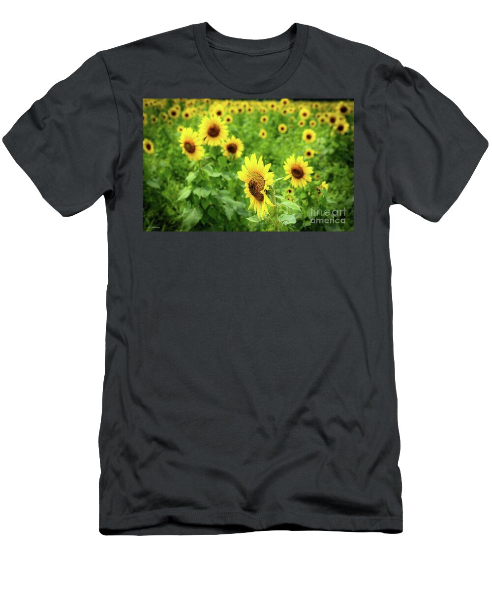 Sunflowers T-Shirt featuring the photograph Sunflowers in Memphis IV by Veronica Batterson