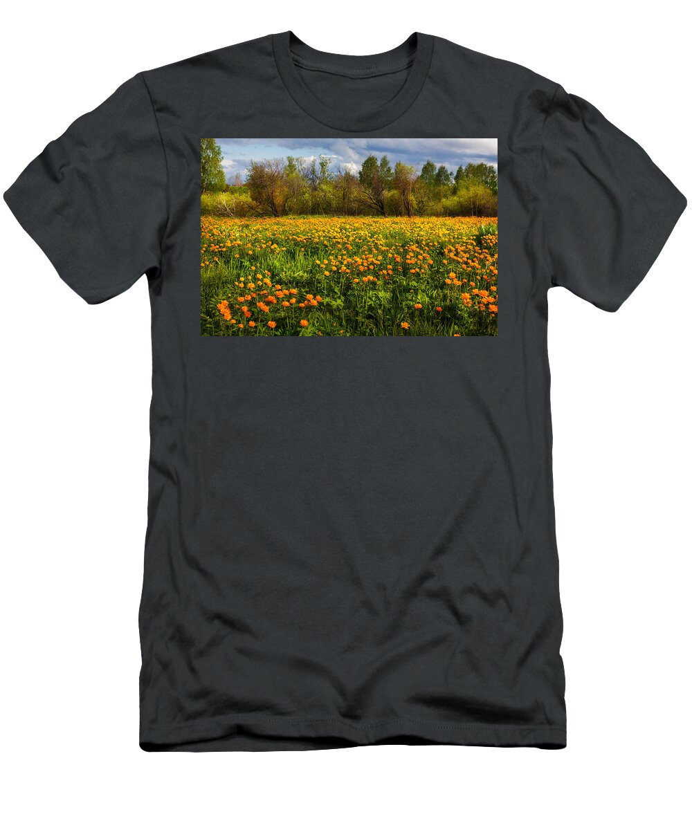 Buttercup T-Shirt featuring the photograph Sunny Buttercups Field. Altai by Victor Kovchin