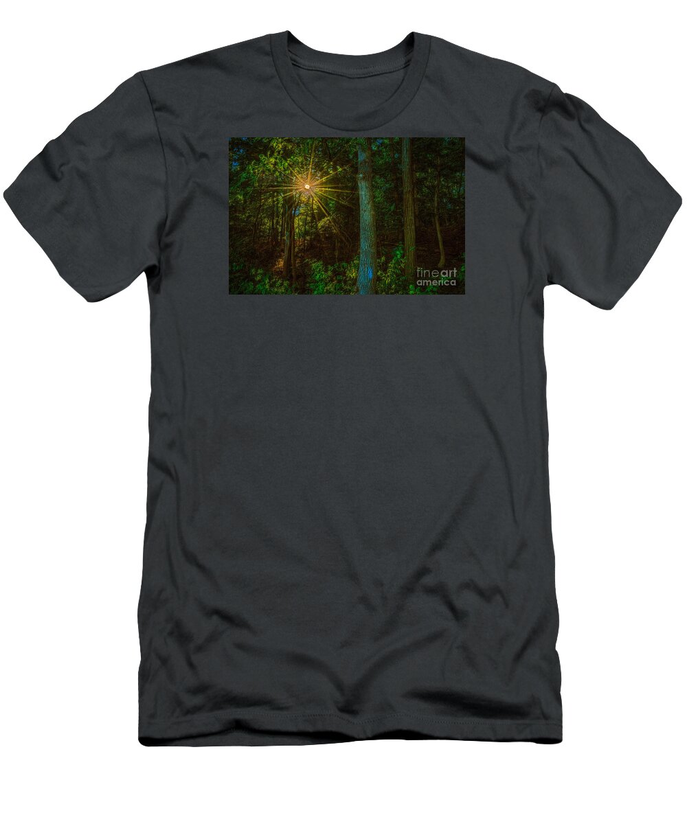 Lake Needwood T-Shirt featuring the photograph Sunny forest by Izet Kapetanovic