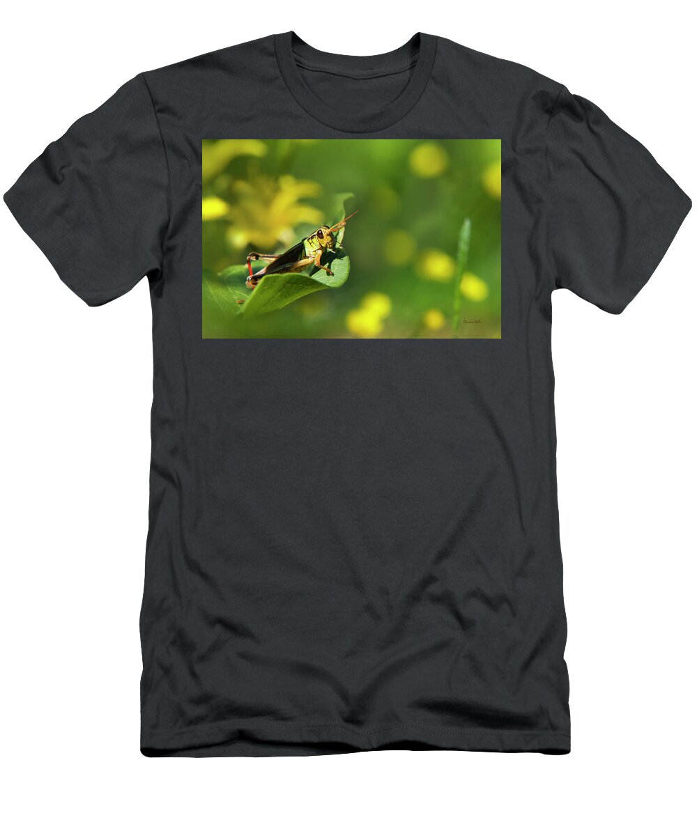 Grasshopper T-Shirt featuring the photograph Green Grasshopper by Christina Rollo