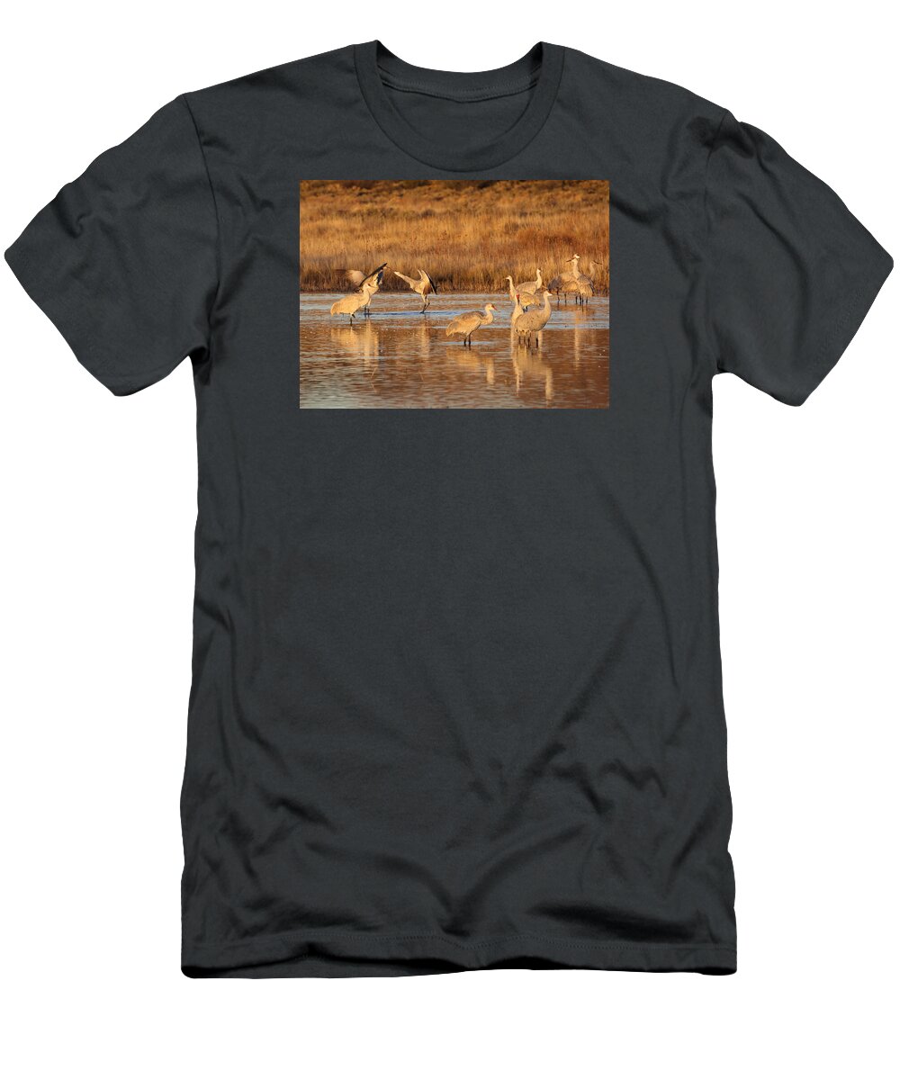 Sandhill T-Shirt featuring the photograph Sunrise at the Crane Pond by Jean Clark