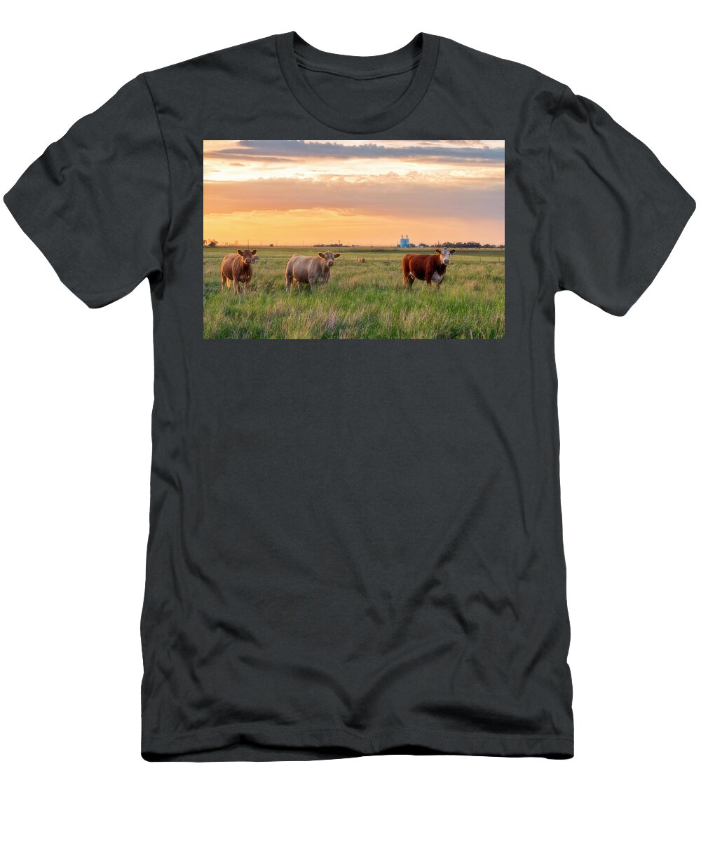 Sunset T-Shirt featuring the photograph Sunset Cattle by Russell Pugh