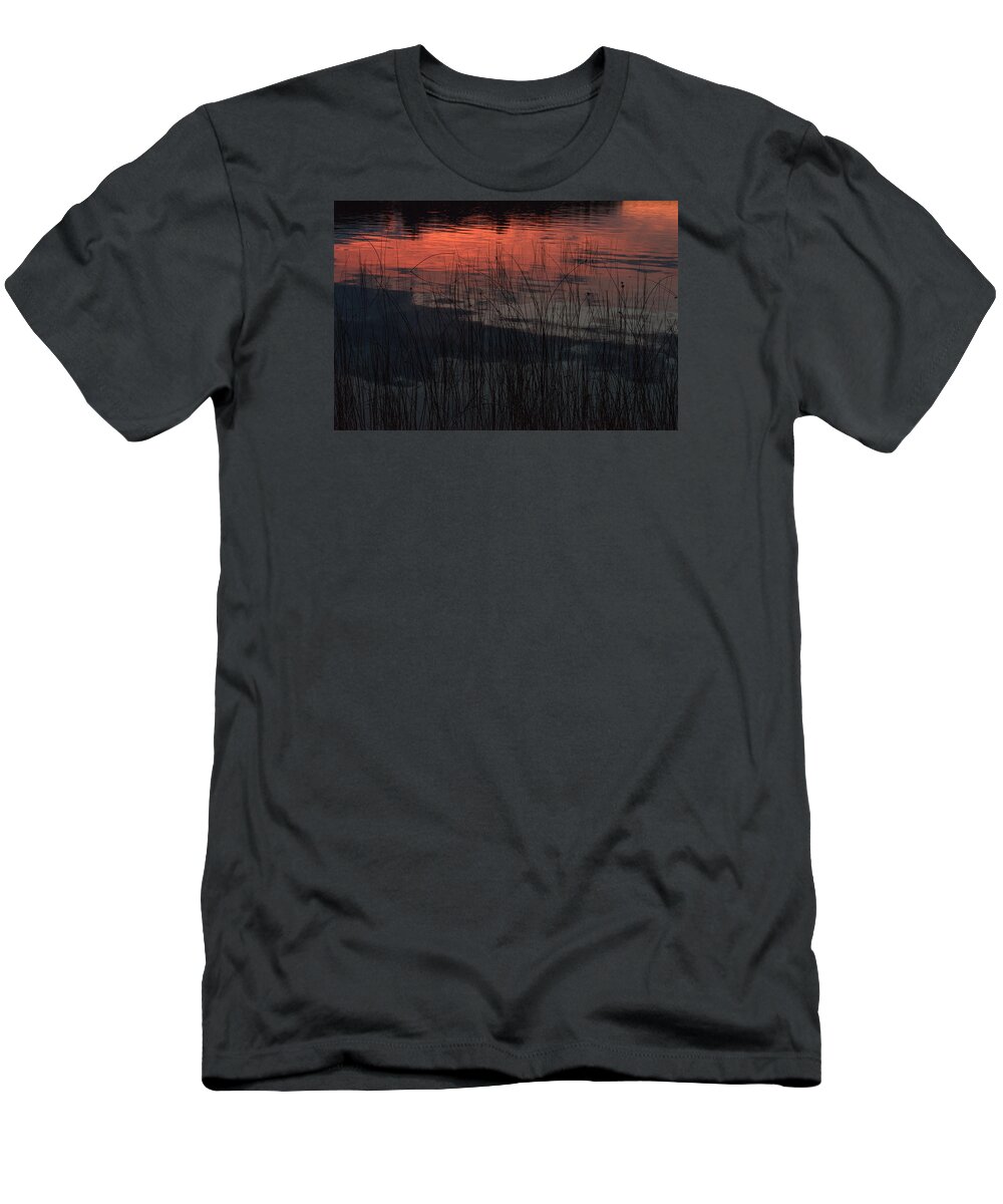 Camelot Island T-Shirt featuring the photograph Sunset reeds by Gary Eason