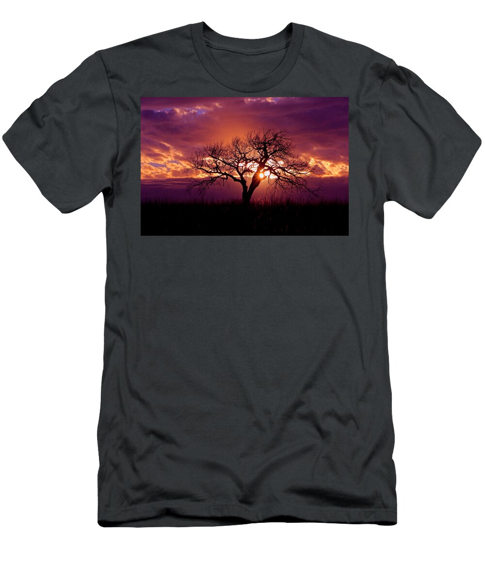 Tree T-Shirt featuring the photograph Sunset Tree by Christopher McKenzie
