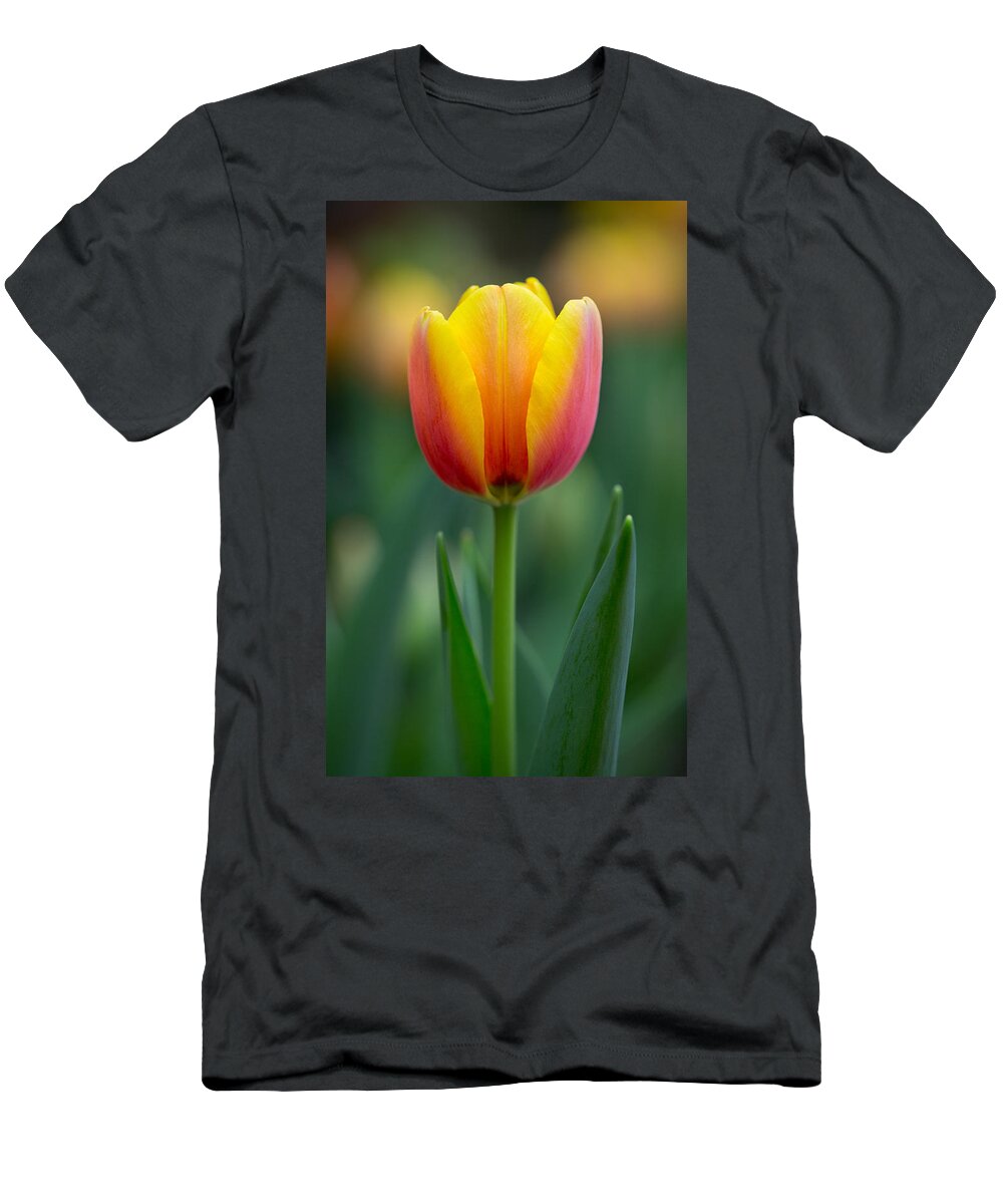 Sunshine And True Love T-Shirt featuring the photograph Sunshine and True Love by Dale Kincaid