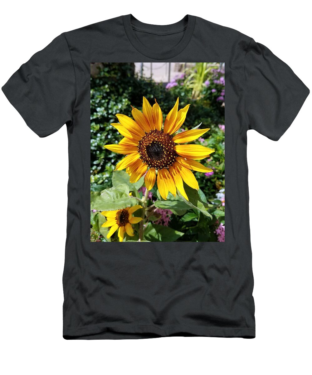 Flowers T-Shirt featuring the photograph Sunshine by Rick Redman