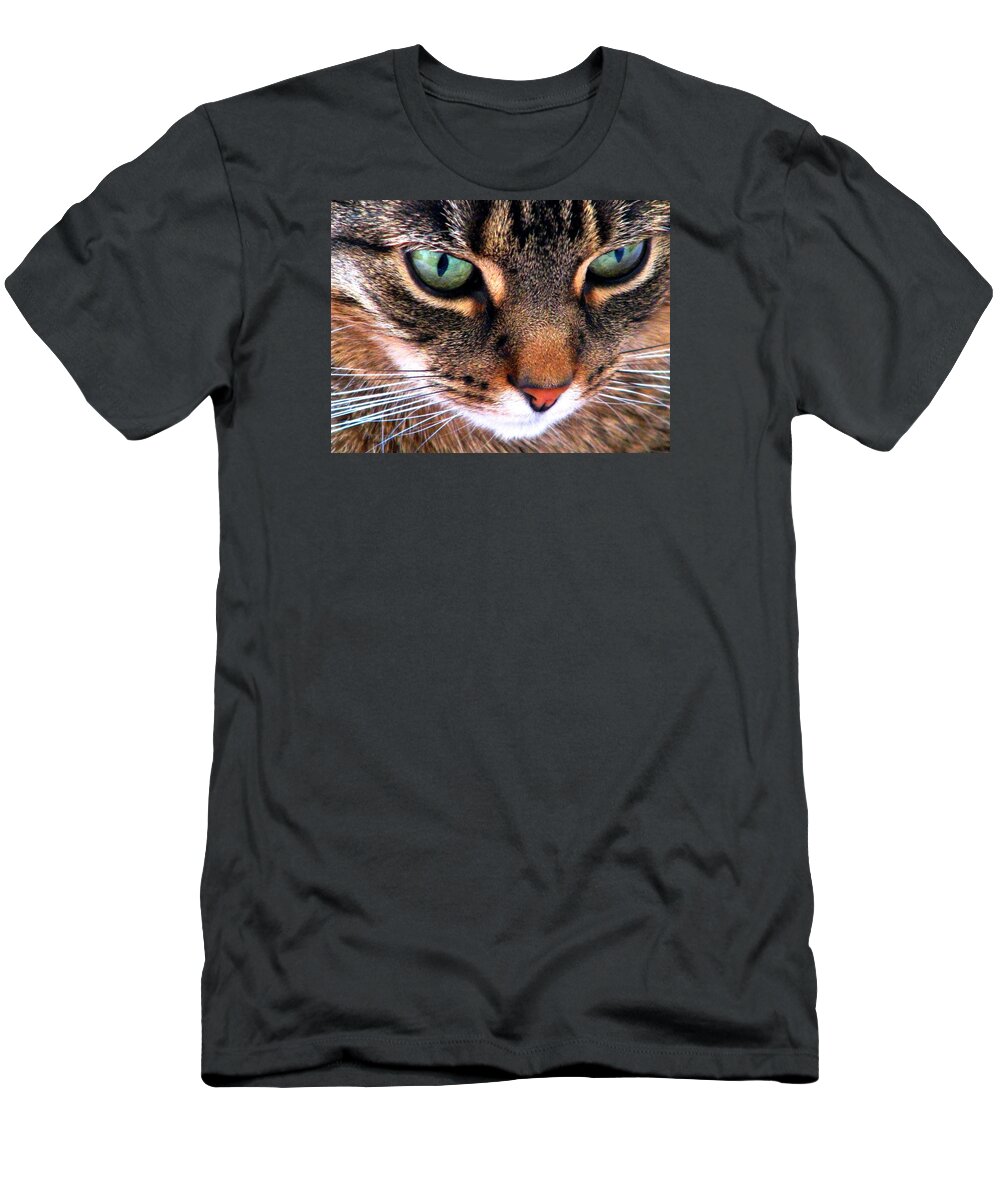 Cats T-Shirt featuring the photograph Surmising by Angela Davies