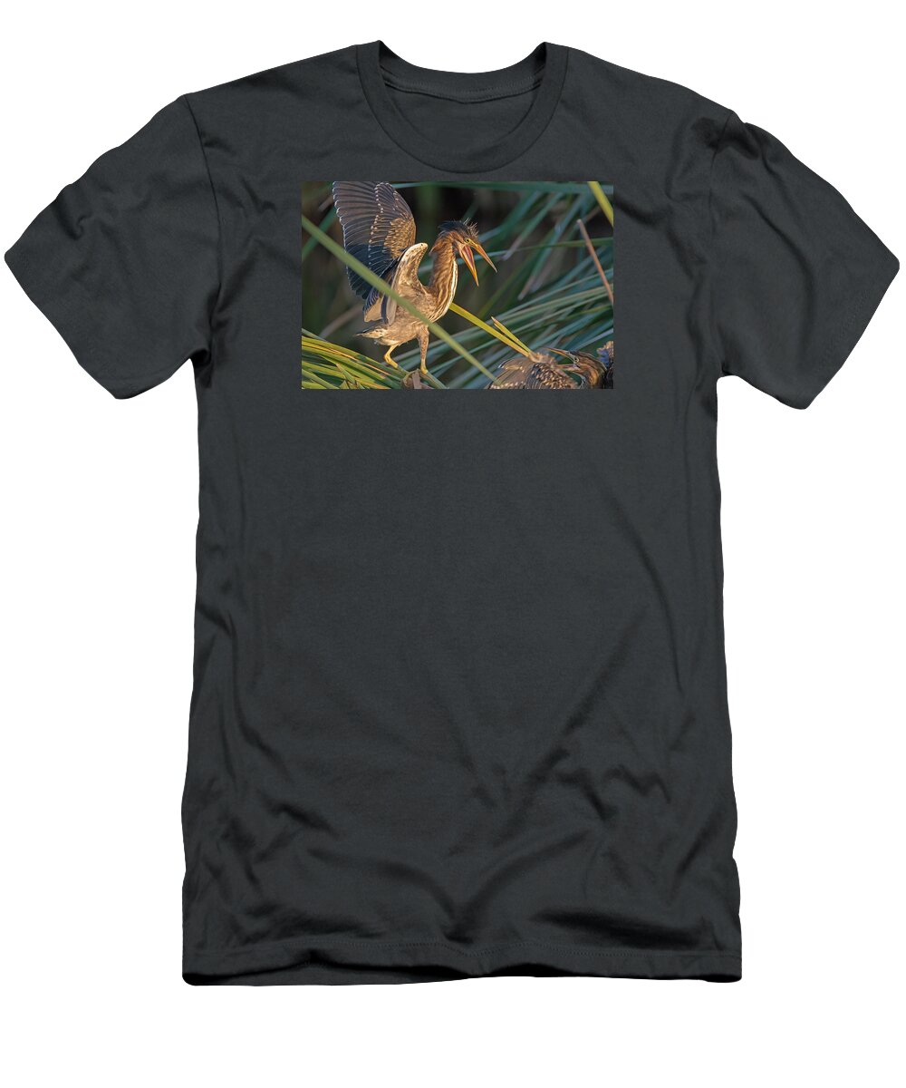 Water Bird T-Shirt featuring the photograph Surprise Attack by Tam Ryan