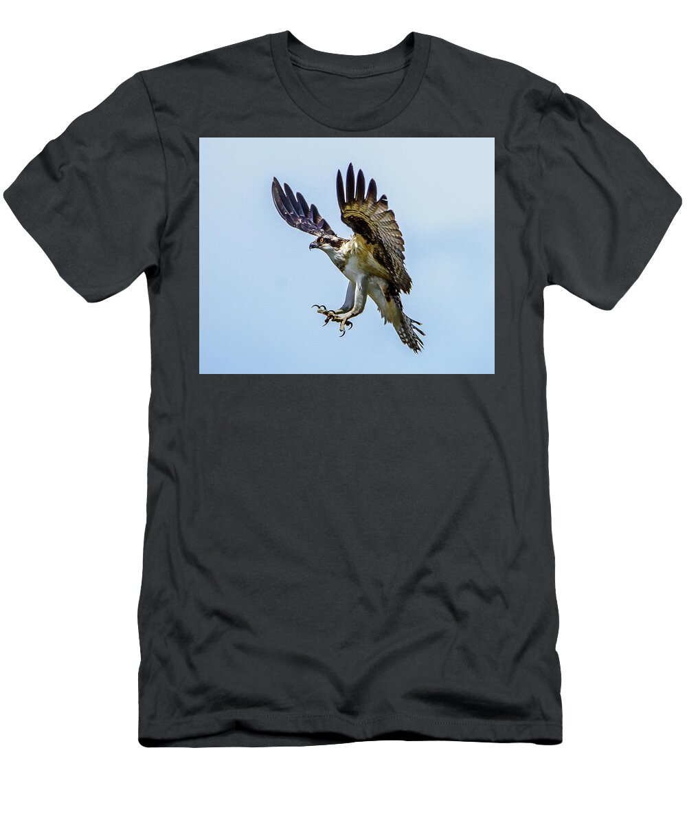 Osprey T-Shirt featuring the photograph Suspended Osprey by Jerry Cahill