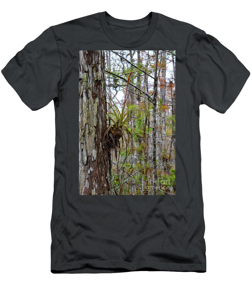 The Everglades T-Shirt featuring the photograph Swamp Colors by Bob Phillips