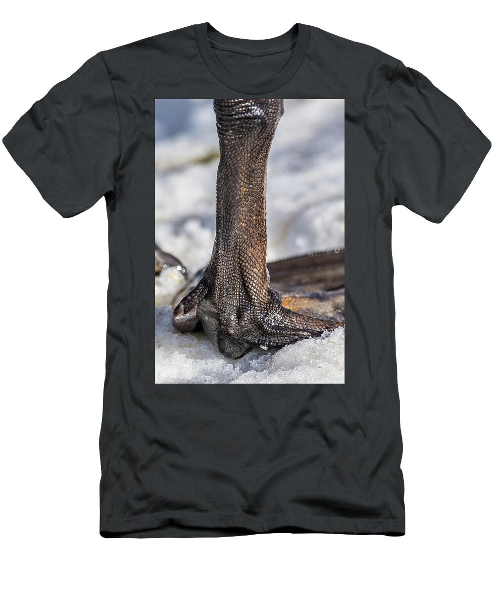 Swan T-Shirt featuring the photograph Swan Leg by Paul Freidlund