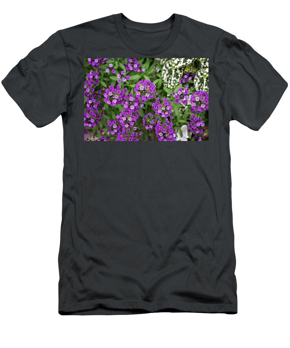 Sweet Alyssum Flower Print T-Shirt featuring the photograph Sweet Alyssum Flower Print by Gwen Gibson