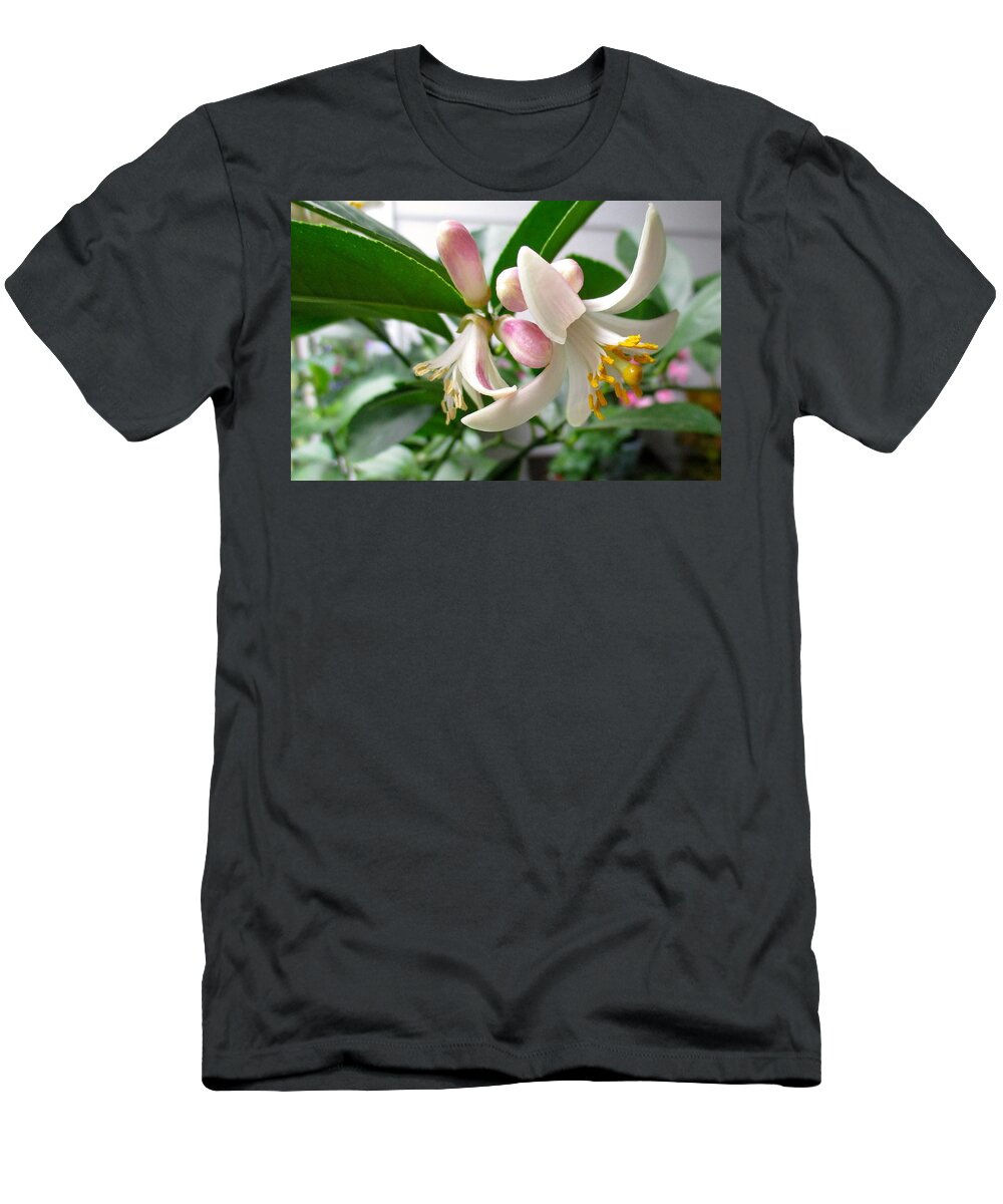 Flowering Trees T-Shirt featuring the photograph Sweet Nectar by Etta Harris