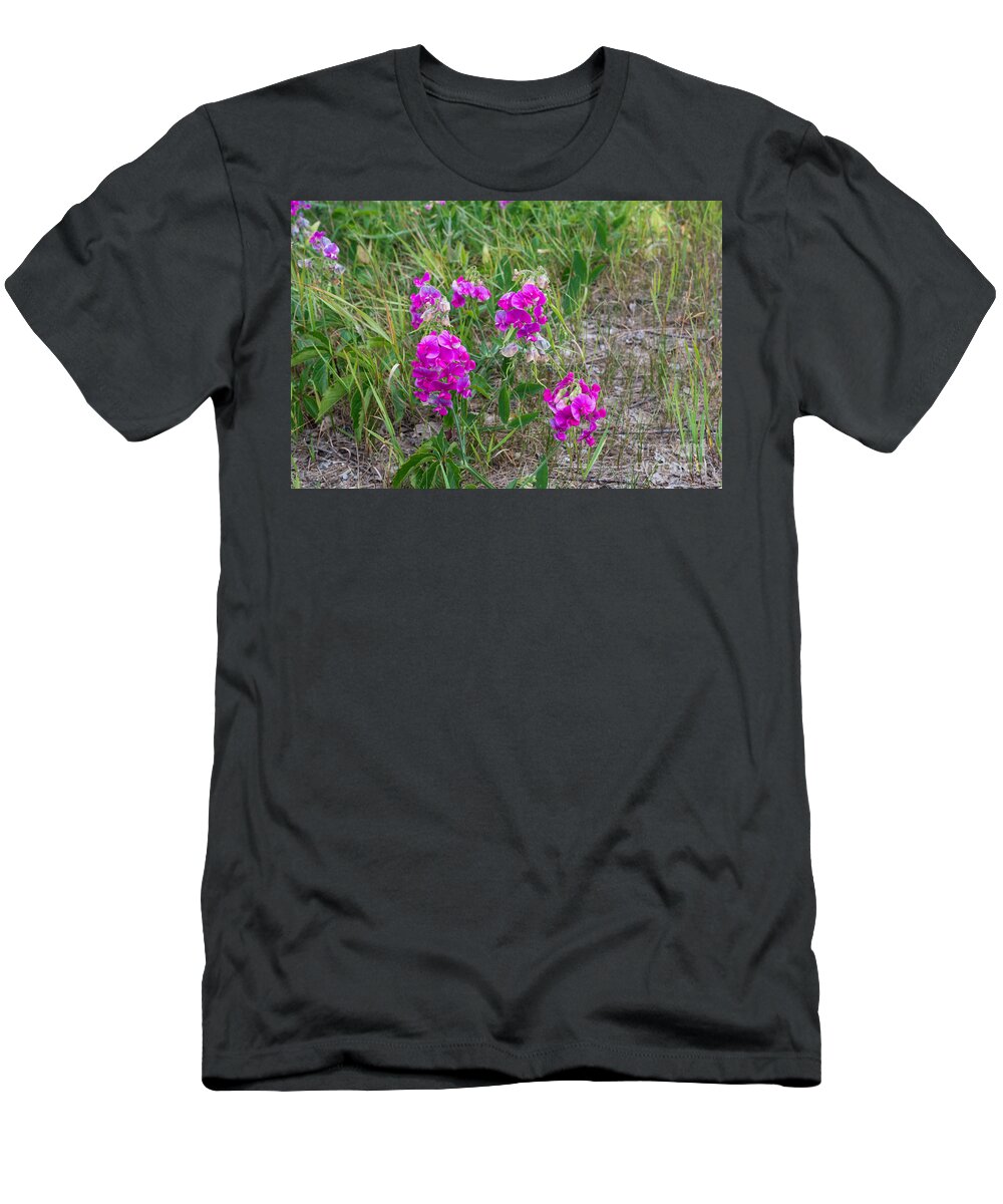 Pea T-Shirt featuring the photograph Sweet pea flowers by Les Palenik