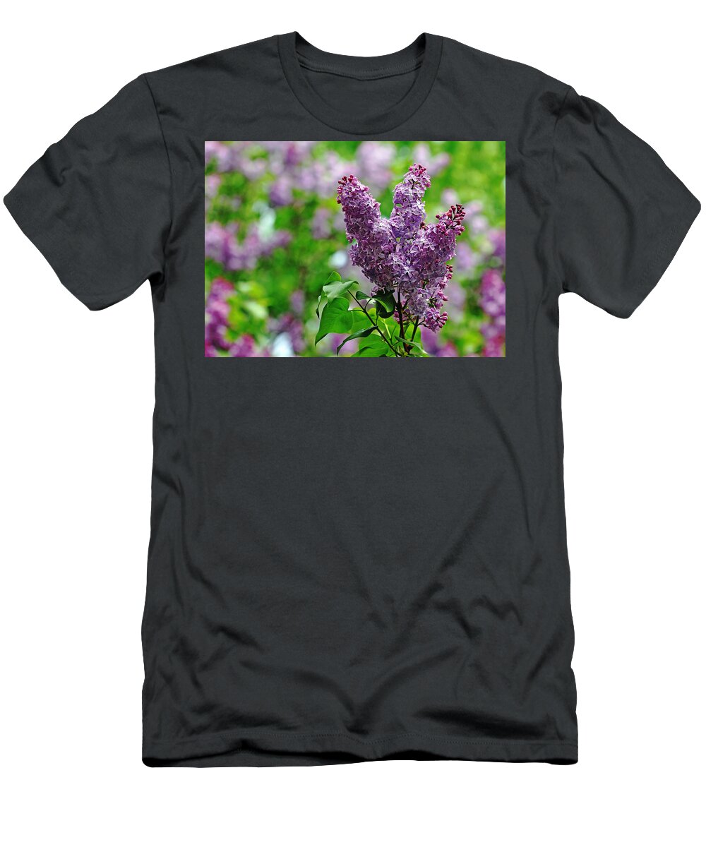 Lilacs T-Shirt featuring the photograph Sweet Smell Of Spring by Debbie Oppermann