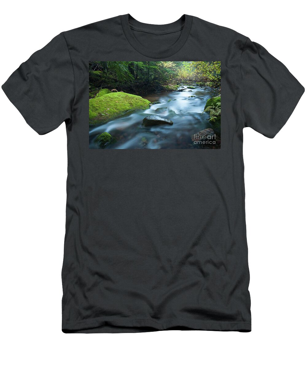 Beauty Creek T-Shirt featuring the photograph Sweet Surrender by Idaho Scenic Images Linda Lantzy
