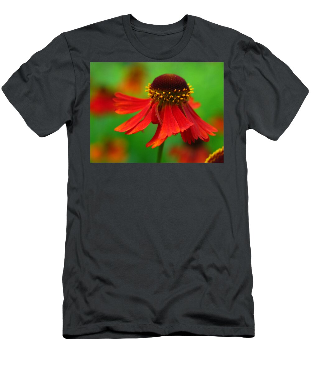 Coneflower T-Shirt featuring the photograph Swirling Sneezeweed by Juergen Roth