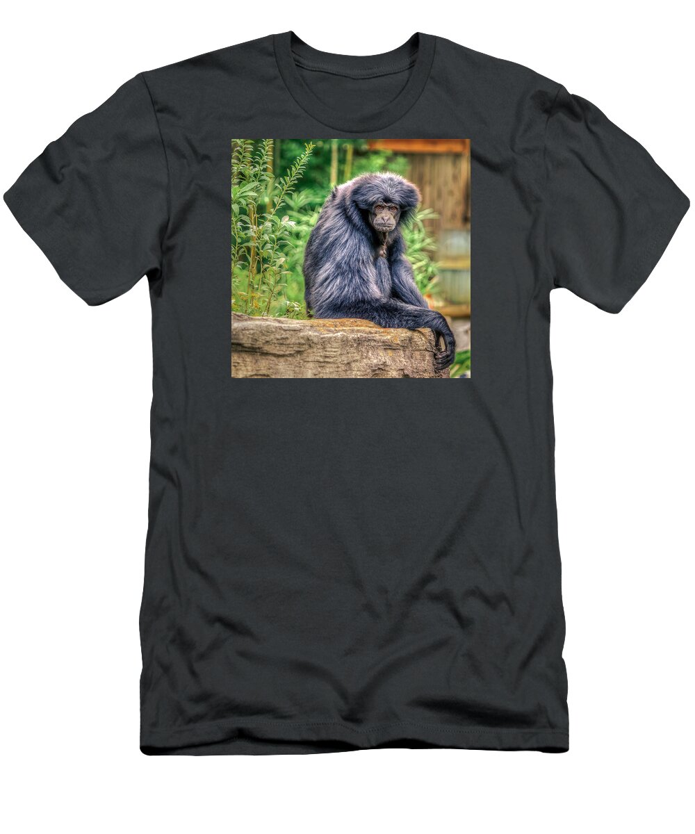 Animal T-Shirt featuring the photograph Symphalangus syndactylus by Traveler's Pics