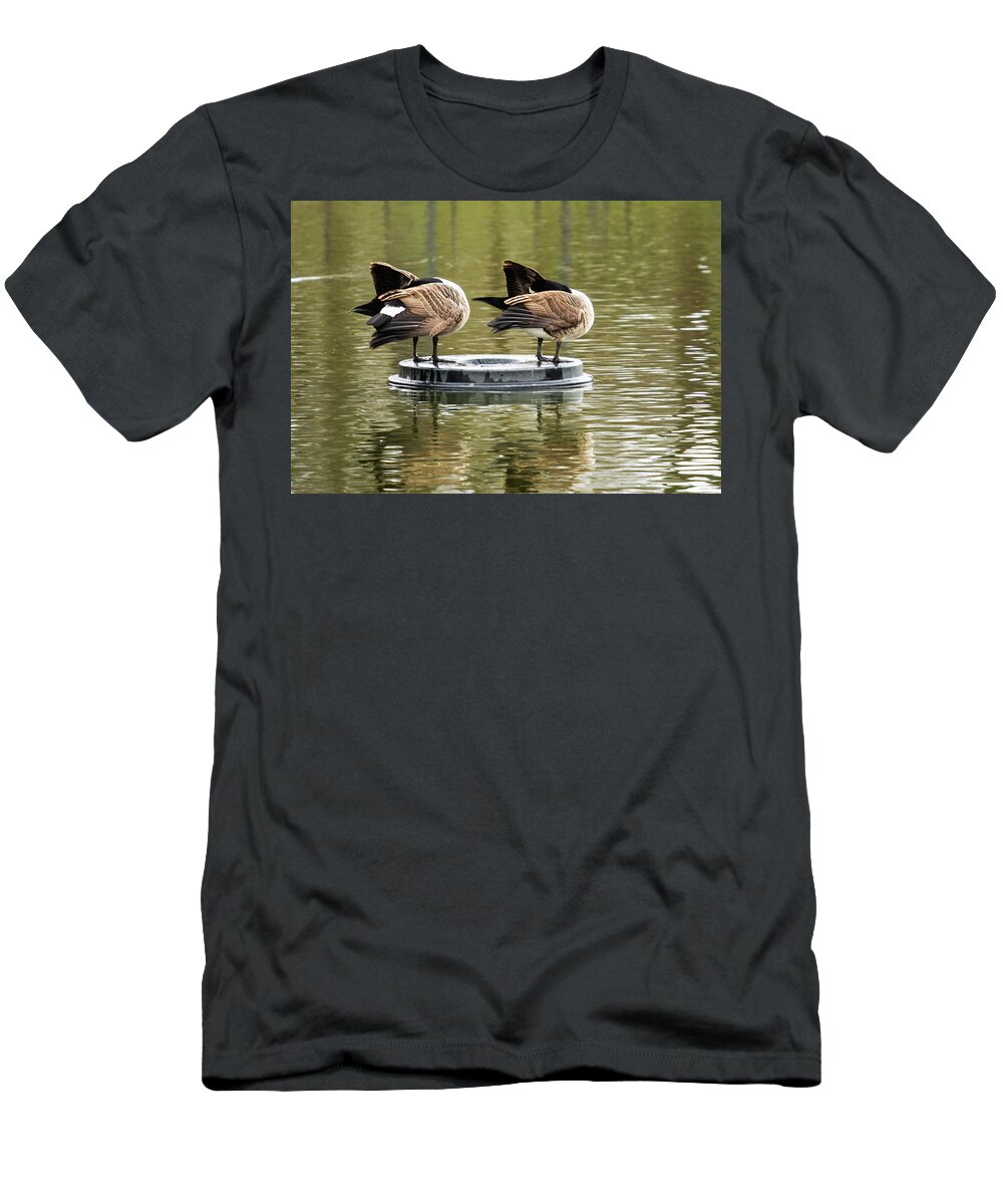 Bird T-Shirt featuring the photograph Synchronised Preening by Jeff Townsend