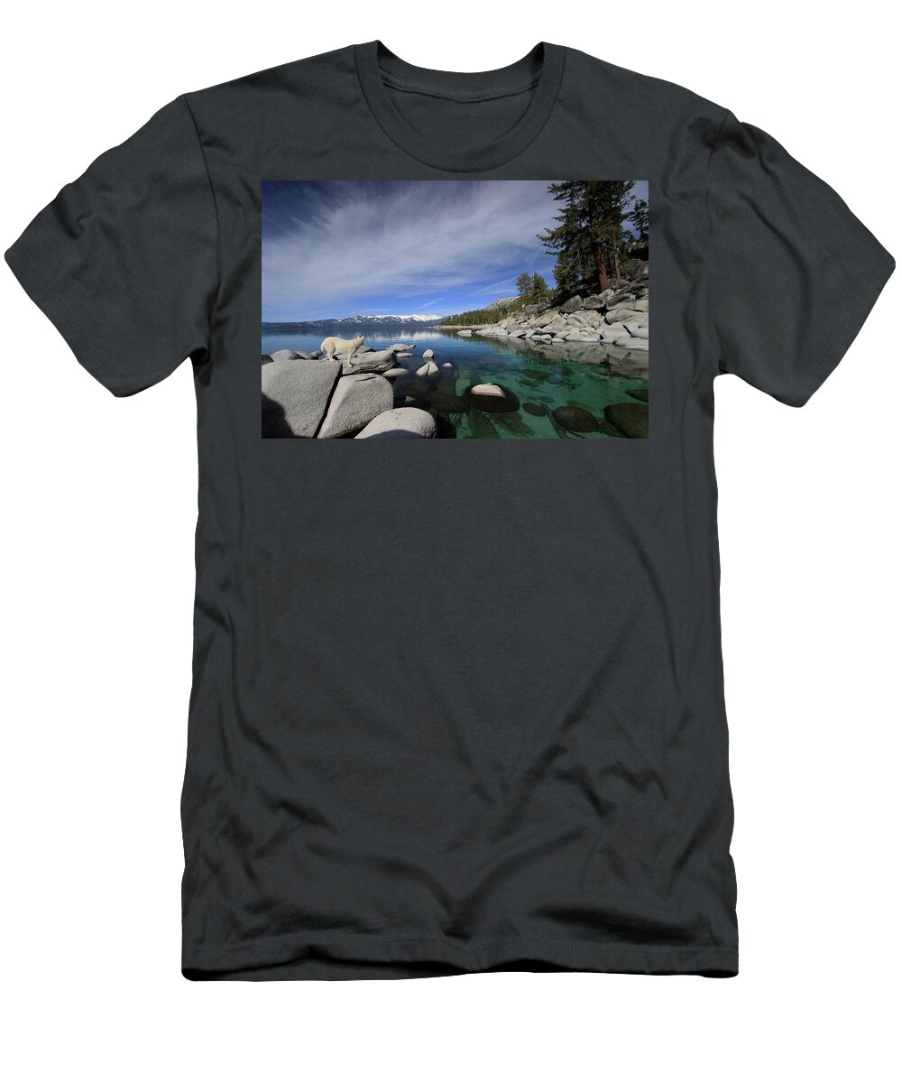 Lake Tahoe T-Shirt featuring the photograph Tahoe Wow by Sean Sarsfield