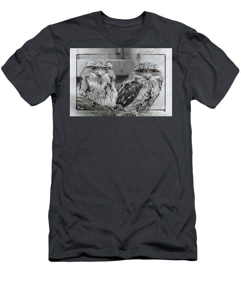 Two T-Shirt featuring the photograph Tawney Frogmouths by Chris Armytage