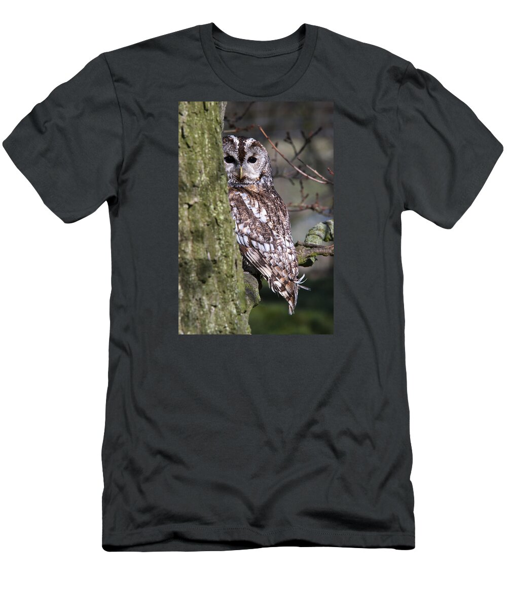 Tawny Owl T-Shirt featuring the photograph Tawny Owl in a Woodland by Andy Myatt