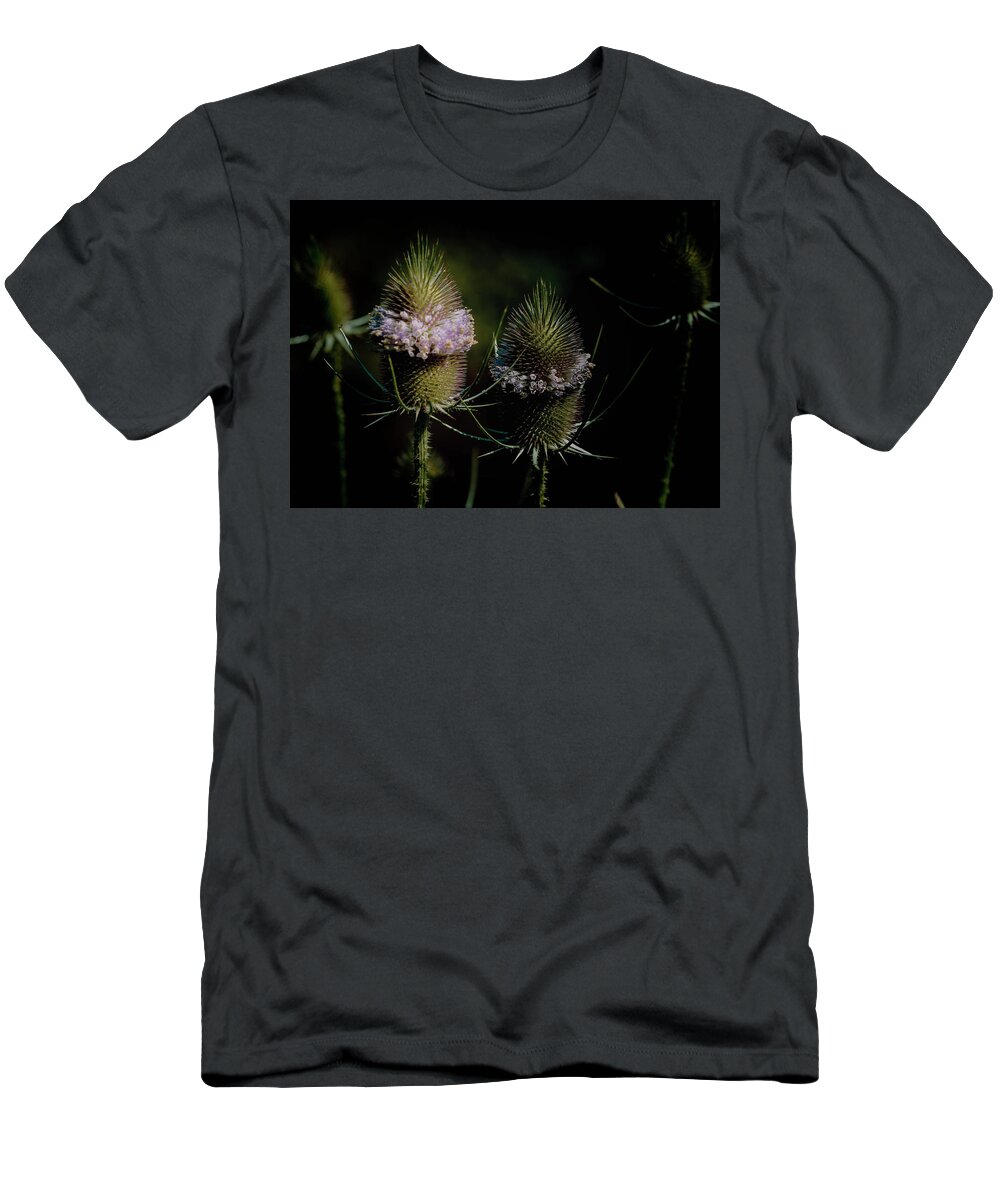 Bloom T-Shirt featuring the photograph Teasels by Carol Senske