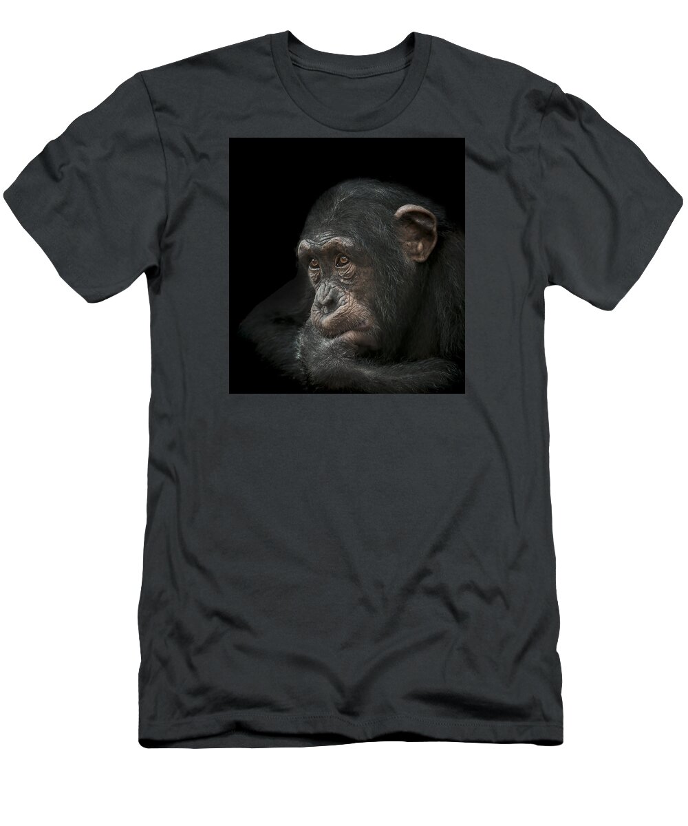 Chimpanzee T-Shirt featuring the photograph Tedium by Paul Neville