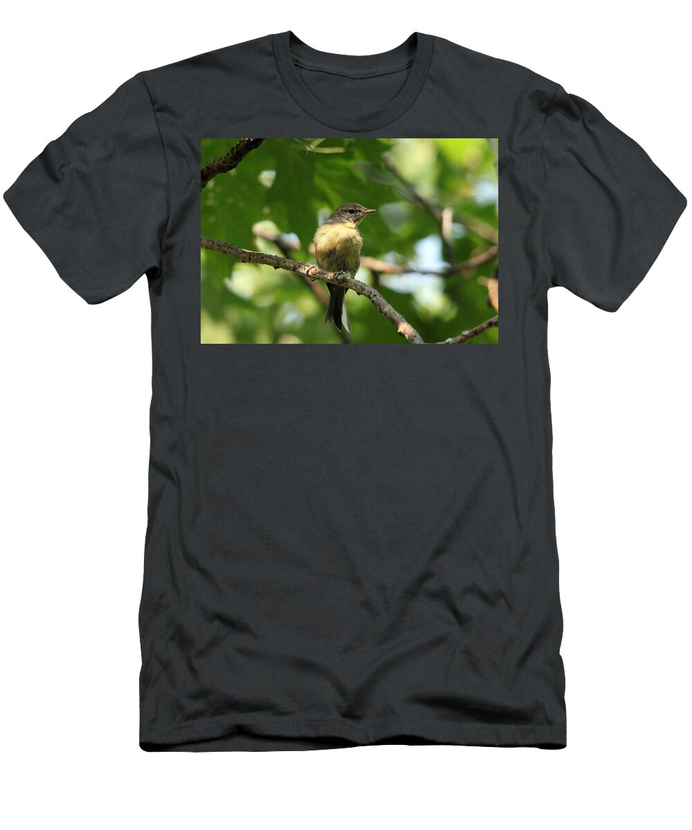 Tennessee Warbler T-Shirt featuring the photograph Tennessee Warbler by Debbie Oppermann