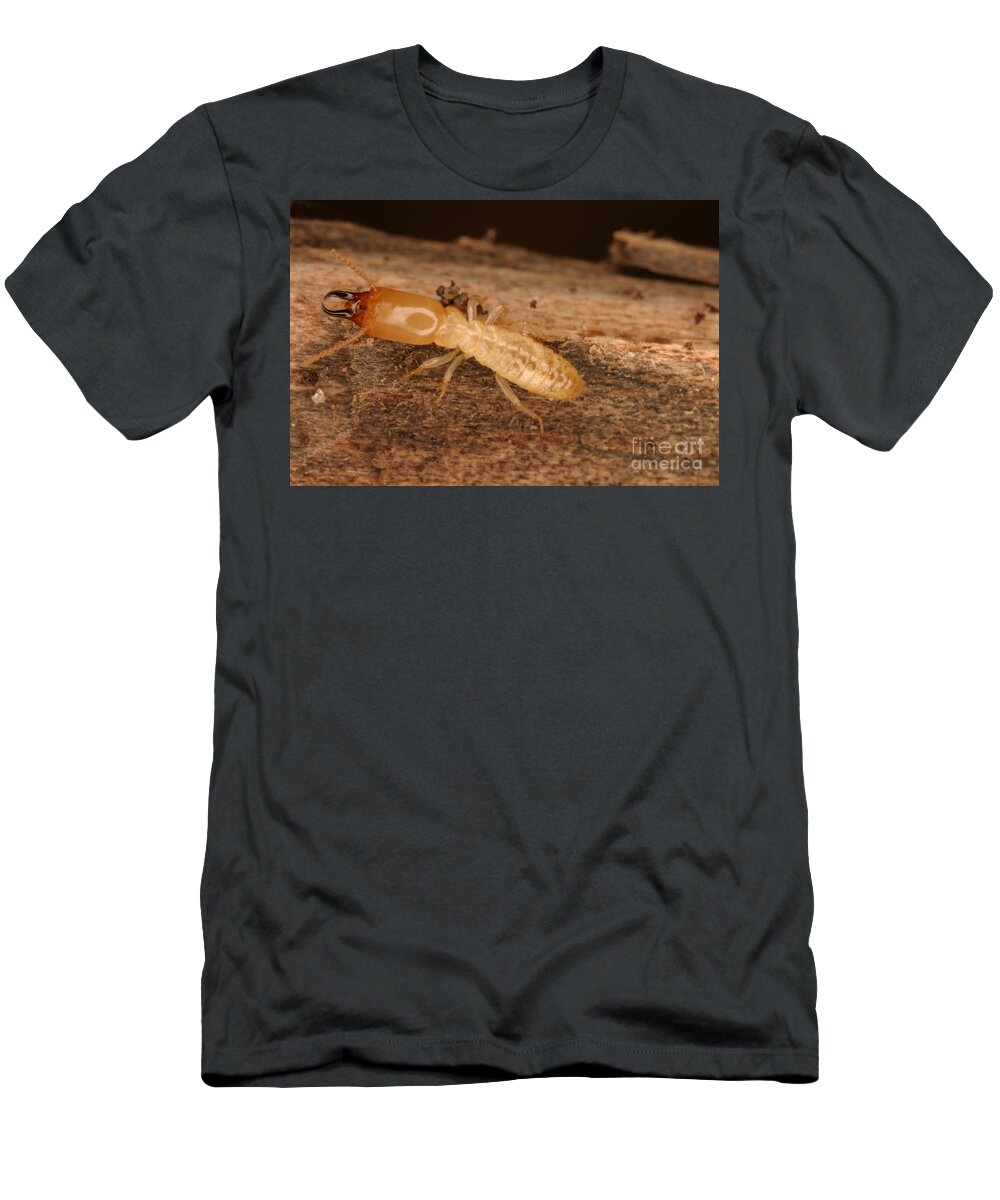 Animal T-Shirt featuring the photograph Termite by Ted Kinsman