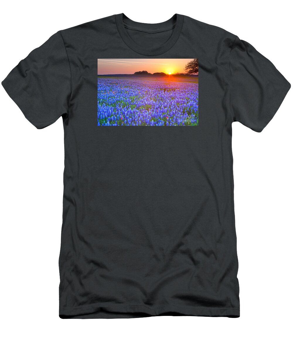 Texas Blue Bonnets T-Shirt featuring the photograph Texas bluebonnets by Keith Kapple