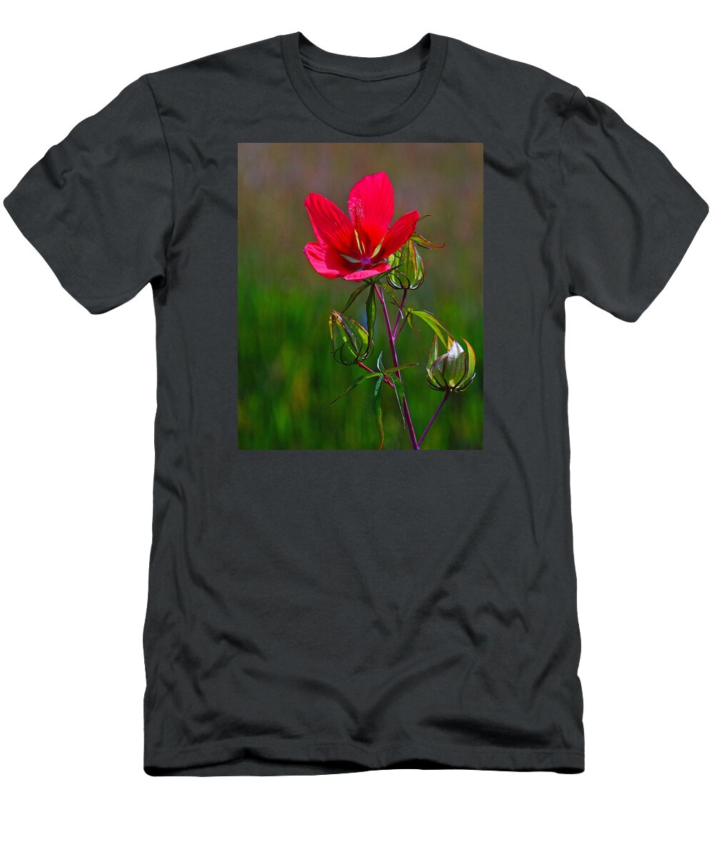 Flower T-Shirt featuring the photograph Texas Star Hibiscus by Lawrence S Richardson Jr