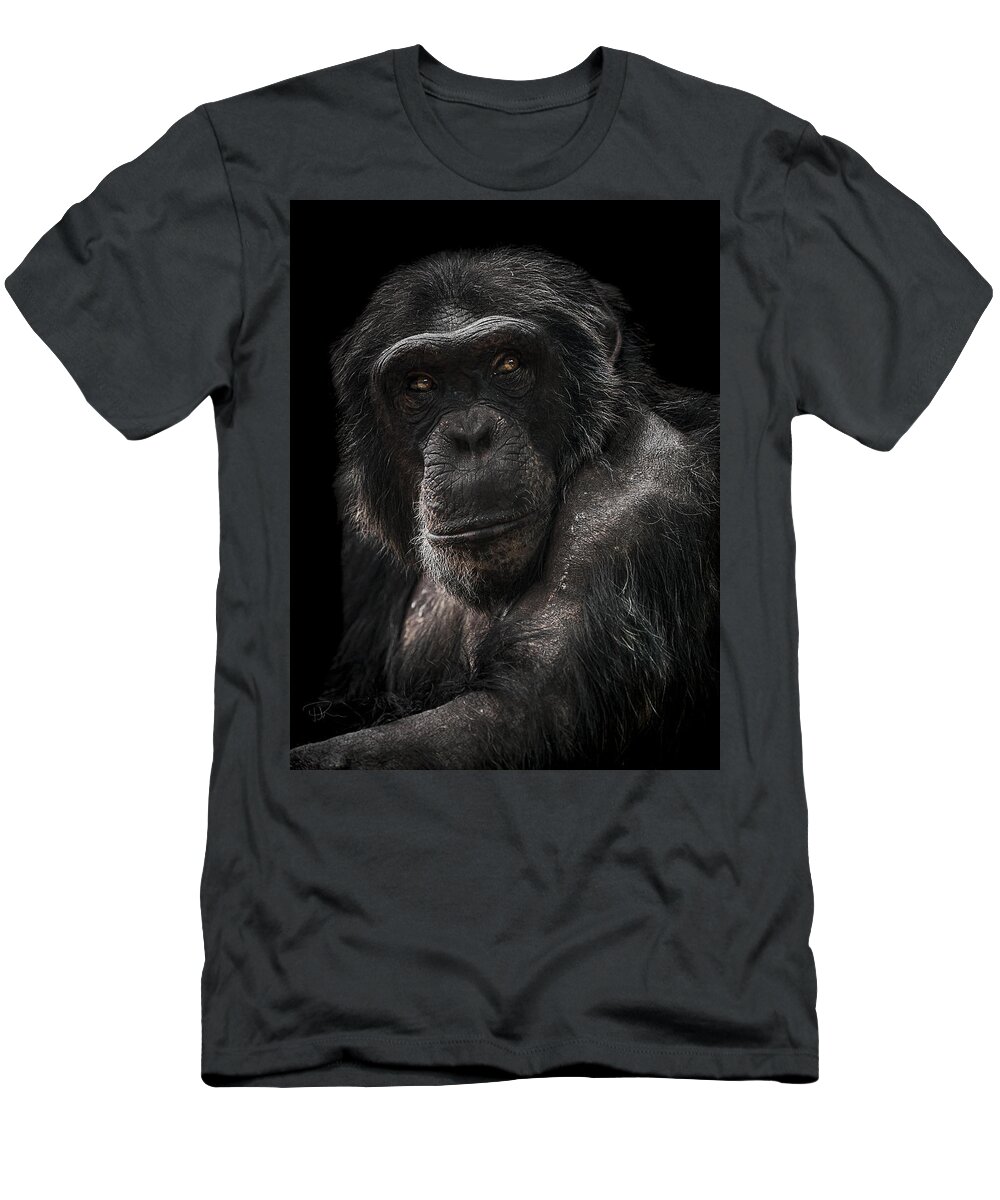 Chimpanzee T-Shirt featuring the photograph The Contender by Paul Neville