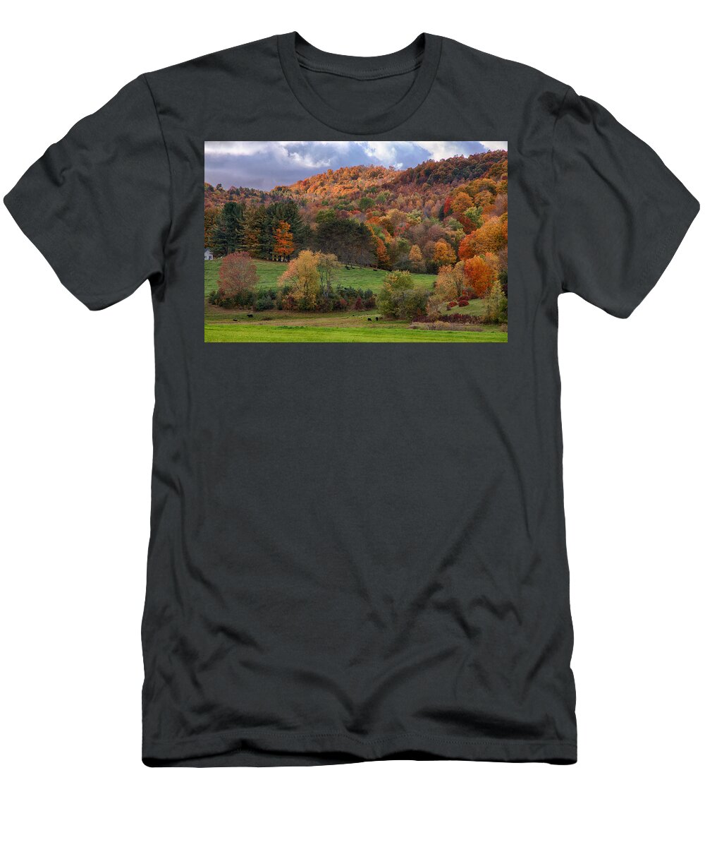 Pomfret Vermont T-Shirt featuring the photograph The cows are in the dell by Jeff Folger