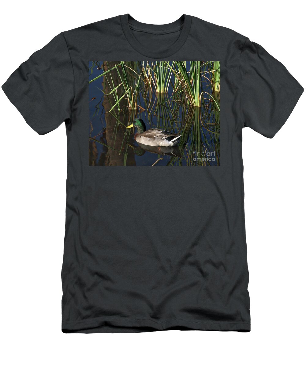 Duck T-Shirt featuring the photograph The Duck On The Pond At Papago Park by Kirt Tisdale