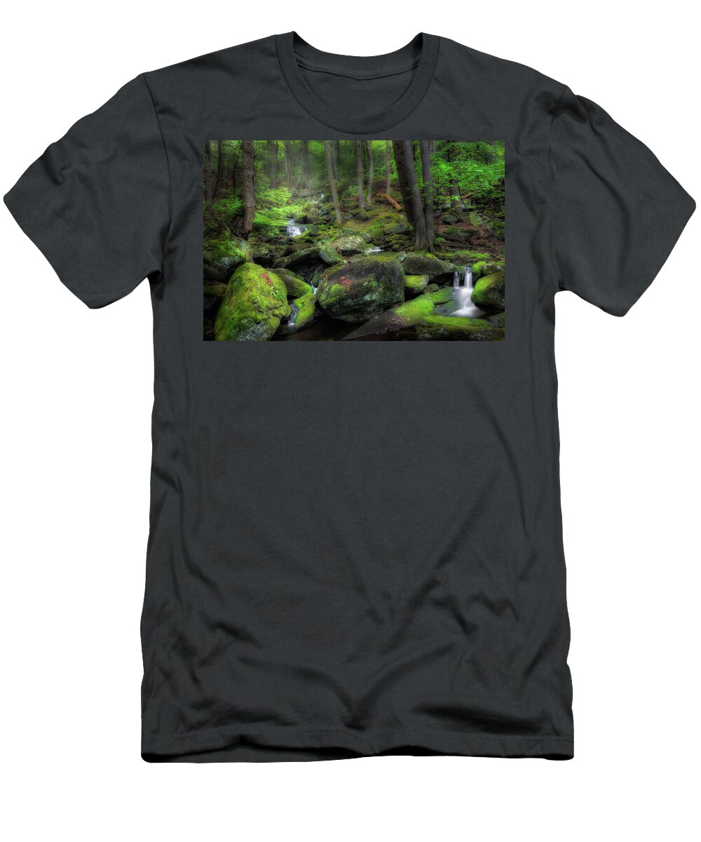 Forest T-Shirt featuring the photograph The Enchanted Forest by Bill Wakeley