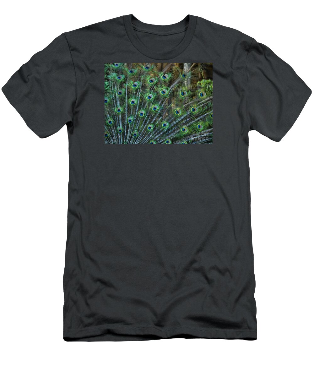 Peacock T-Shirt featuring the photograph The Eyes Are Upon You by Brenda Kean