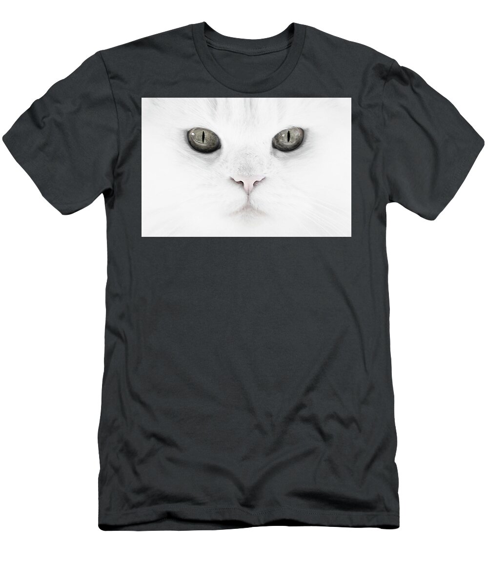 Cat T-Shirt featuring the photograph The Face of a Gray Eyed Cat by Mitch Spence