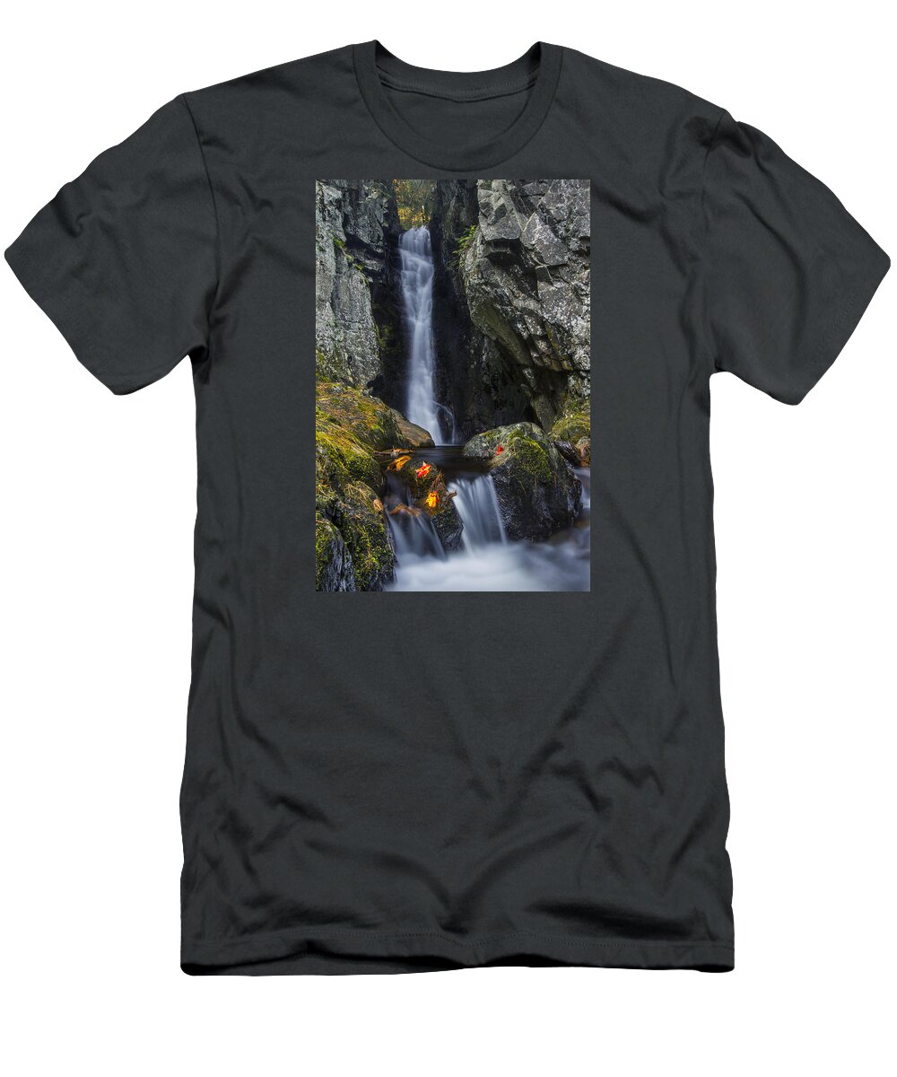 Fall Of Song T-Shirt featuring the photograph The Fall of Song in Autumn by White Mountain Images