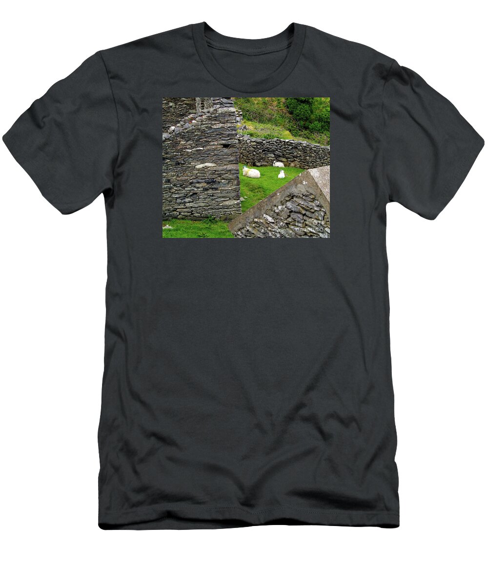 Fine Art Photography T-Shirt featuring the photograph The Family by Patricia Griffin Brett