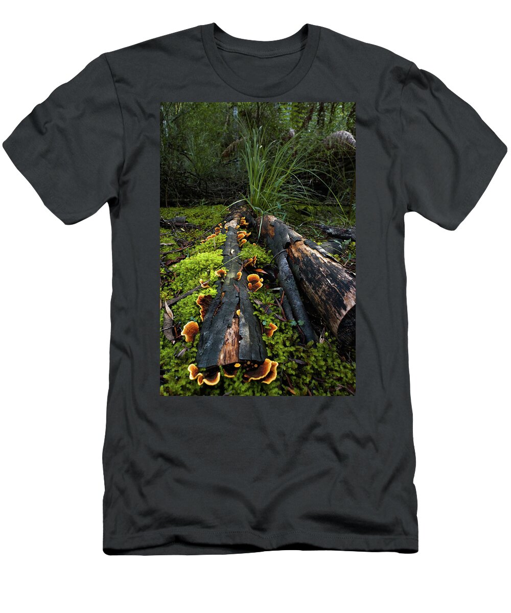 Forest T-Shirt featuring the photograph The Forest Floor by Anthony Davey