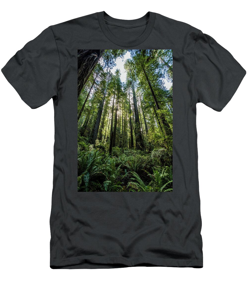  T-Shirt featuring the photograph The Forest by Paul Freidlund