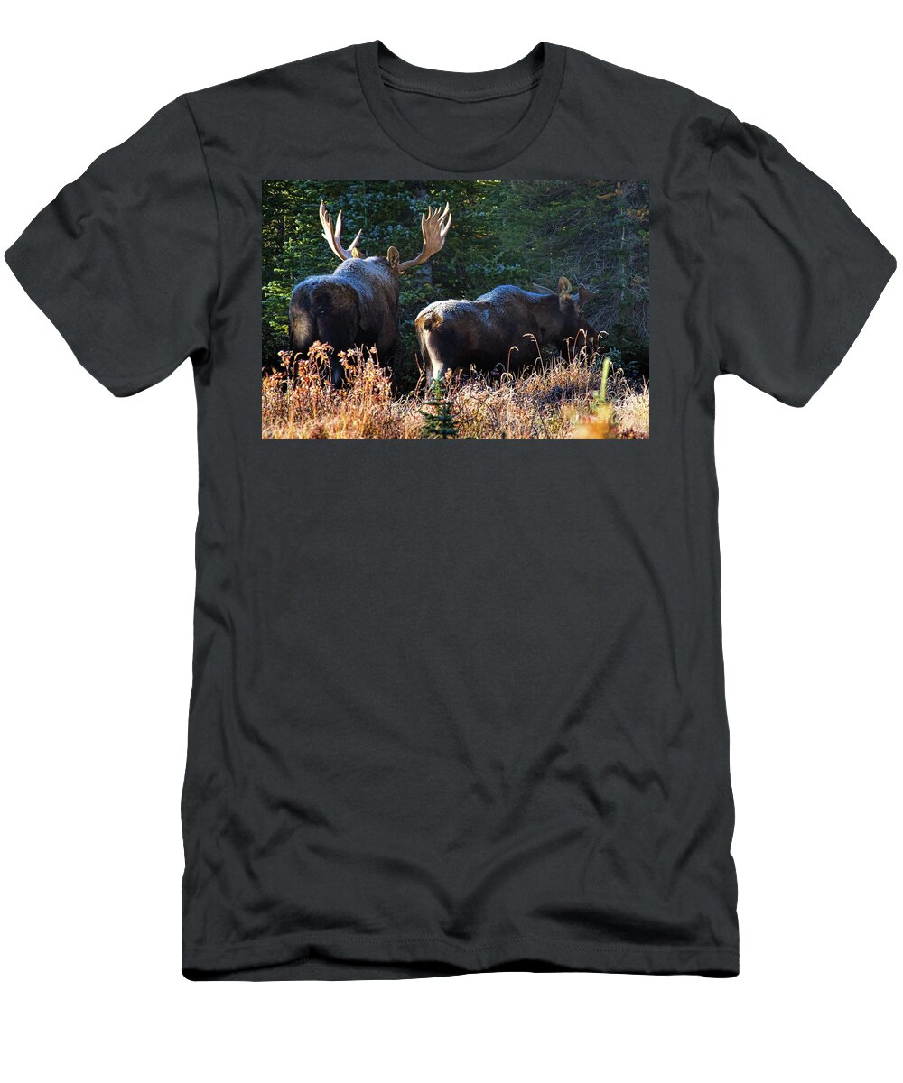Moose T-Shirt featuring the photograph The Frost is on the Moose's by Jim Garrison