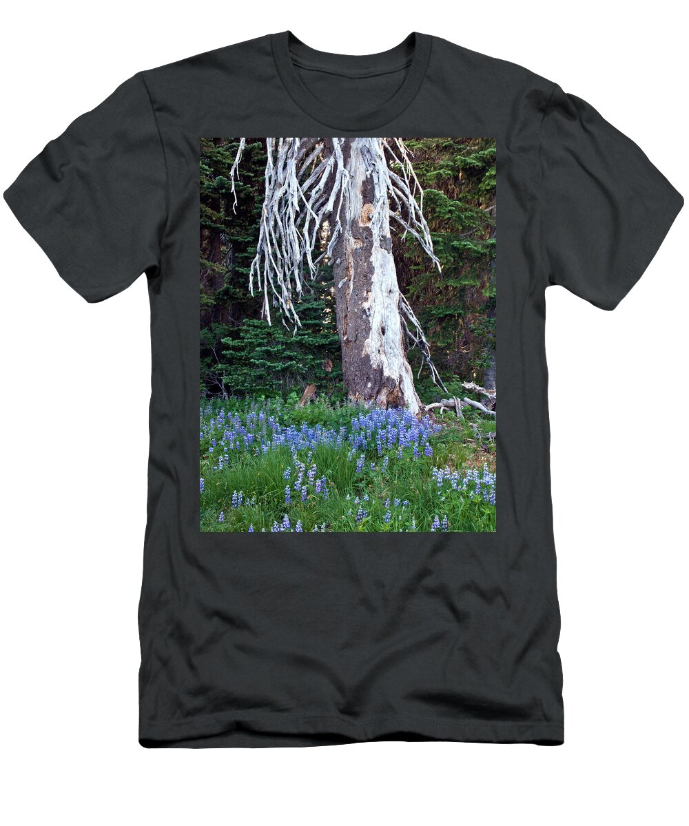 Tree T-Shirt featuring the photograph The Ghost Tree by Marla Craven