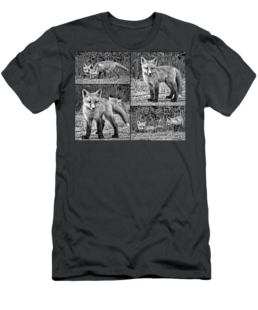 Kit T-Shirt featuring the photograph The Great Adventure - Fox Kits Collage bw by Steve Harrington