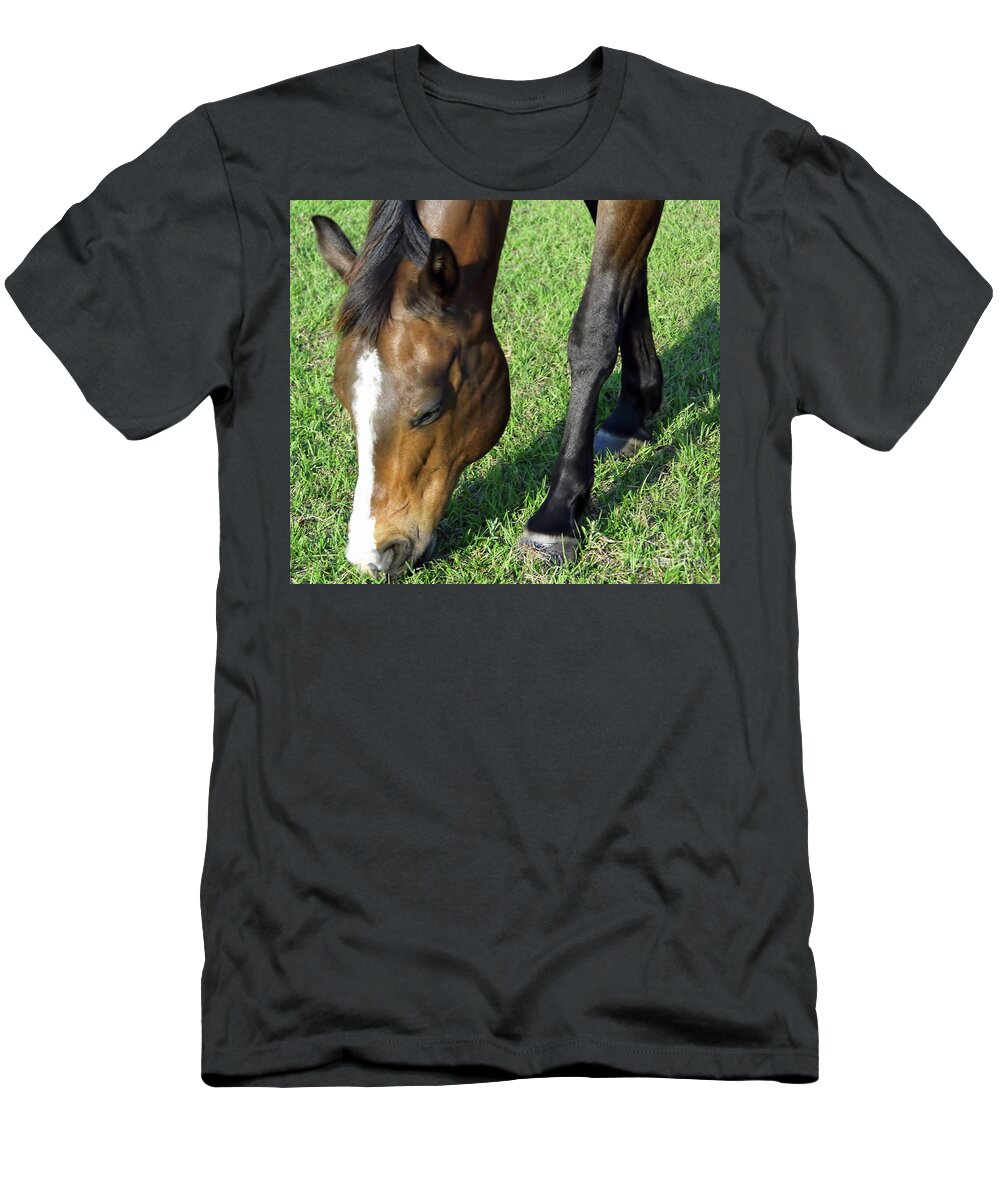 Horse T-Shirt featuring the photograph The Horse Nibble by D Hackett