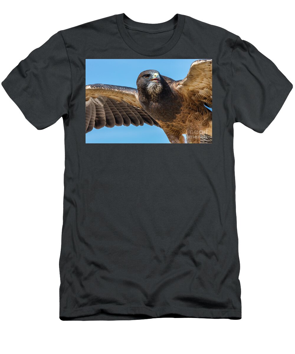 Kaylyn Franks T-Shirt featuring the photograph The Kill Wildlife Art by Kaylyn Franks by Kaylyn Franks
