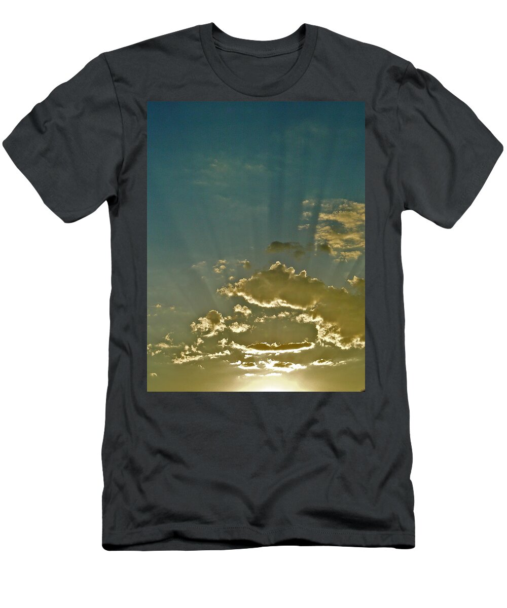 Sun T-Shirt featuring the photograph The Light by Liz Vernand